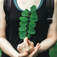 Ilustrasi daun kelor. (Copyright Pexels/Kris M&oslash;klebust)