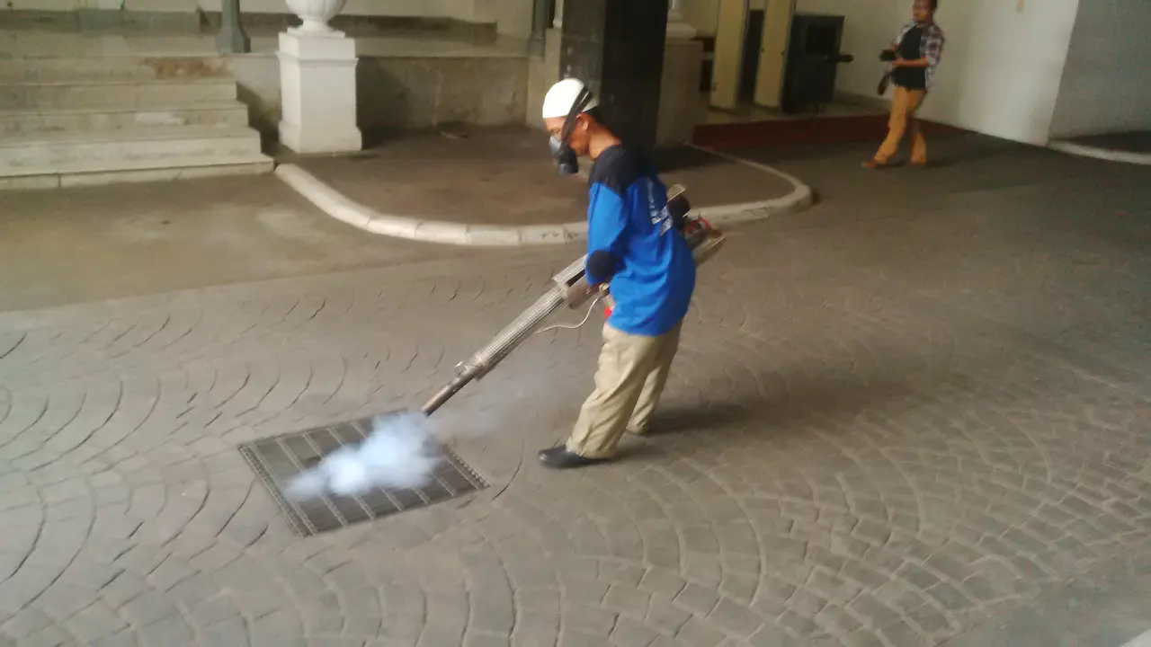 ahok