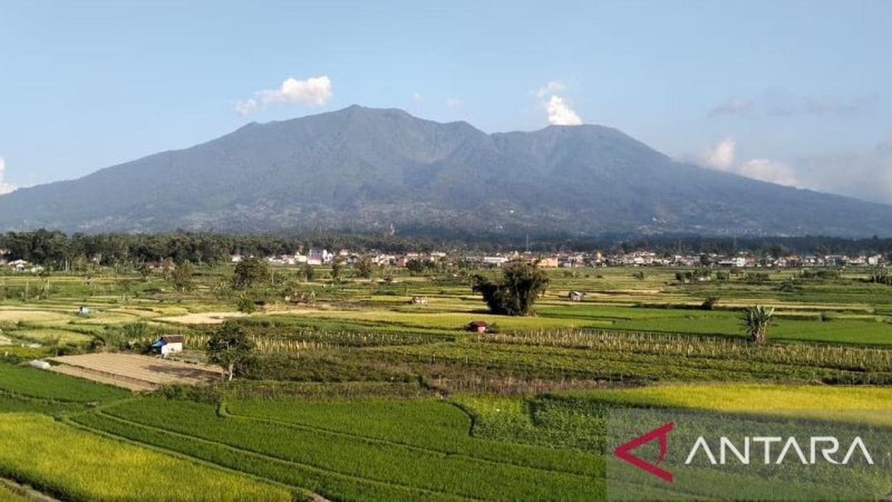 Aktivitas Gempa Gunung Marapi Didominasi Hembusan-Tremor Non Harmonik, Status Waspada Berlanjut