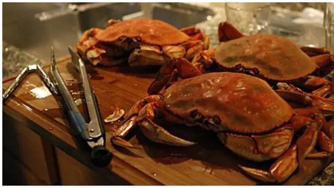 Photo copyright sfgate.com