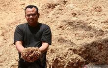 Meraup Cuan dari Limbah Kayu: Kisah Sukses Pengusaha Biomassa Co-firing di NTB