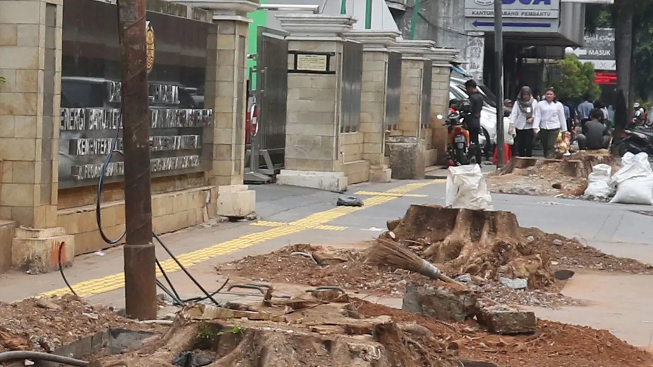 DKI Tebang Pohon Tua di Trotoar Cikini