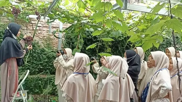 8 Wisata Petik Buah/Instagram Kampung Anggur Plumbungan