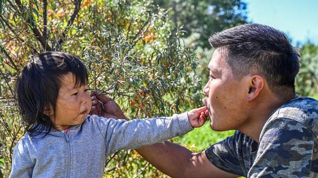 Potret Keluarga Baaraduz sedang menikmati beri hasil kebun mereka di Gurun Gobi. (Mai Khoi Insurance/Facebook)