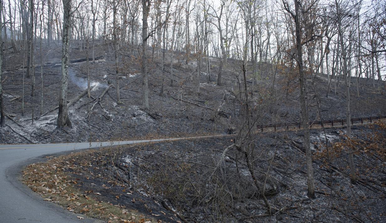 Kebakaran hutan di Pilot Mountain State Park menyebabkan kerusakan lebih dari 1.000 hektar di Pinnacle, North Carolina, AS (30/11/2021). Kebakaran yang dilaporkan telah dimulai Sabtu malam, telah membakar lebih dari 500 hektar pada Senin malam.  (Allison Lee Isley/The Winston-Salem Journal via AP)