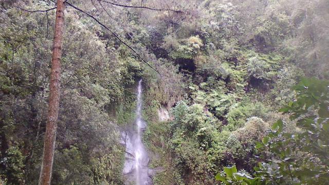 Taman Wisata Kopeng Dan Destinasi Menarik Di Sekitarnya