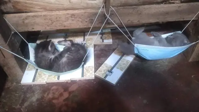 6 Potret Lucu Santai di Tempat Tidur Gantung Low Budget Ini Bikin Ngakak