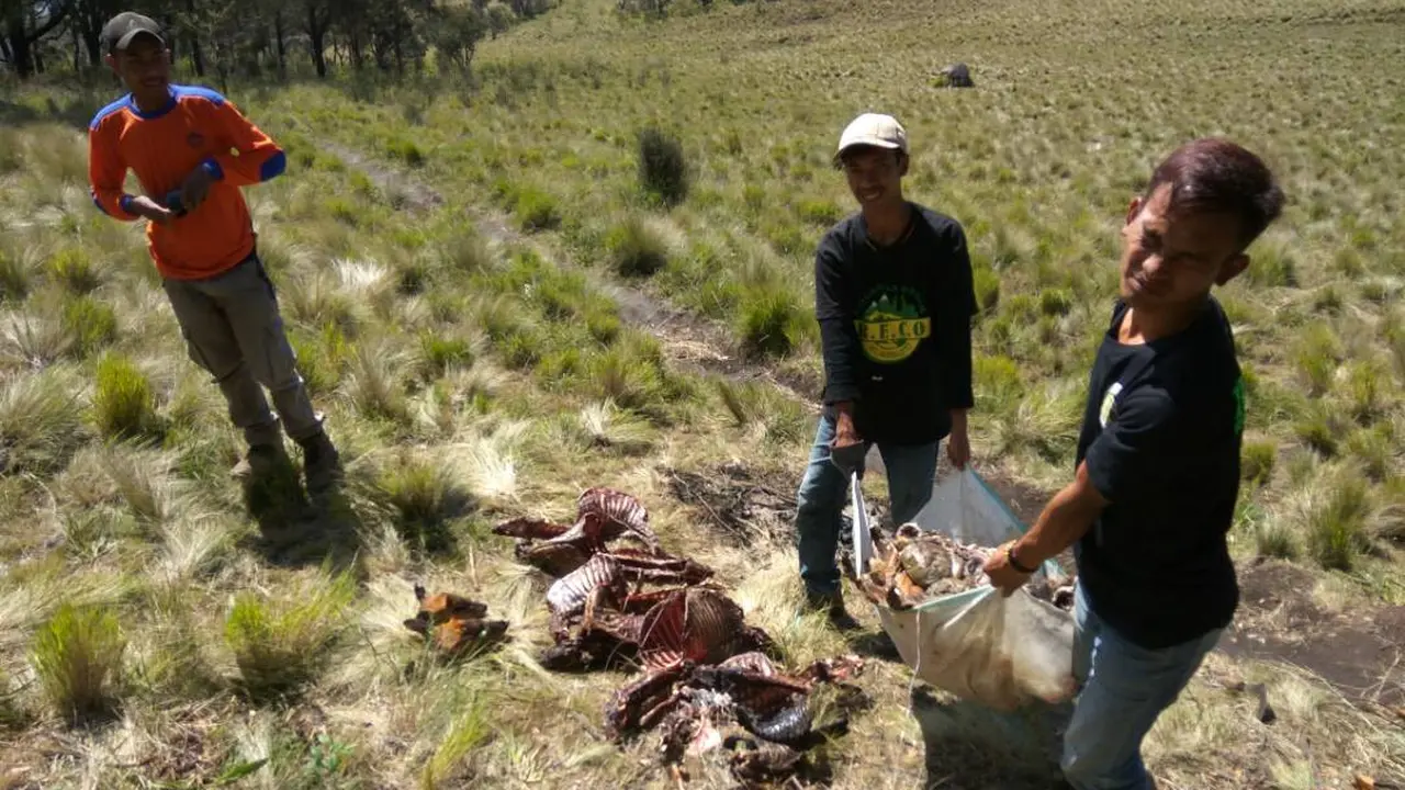 8 Bangkai Rusa Berserakan di Jalur Pendakian Gunung Lawu