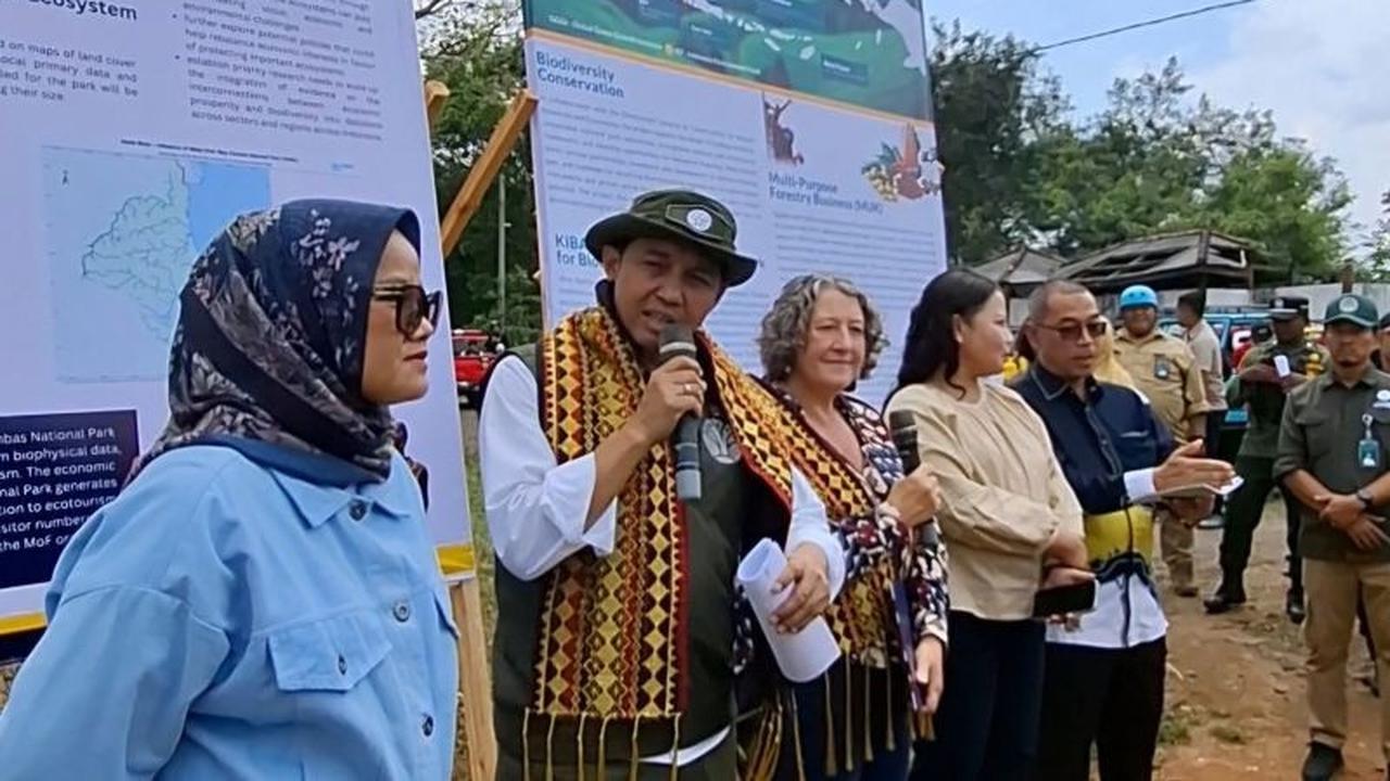 Fakta Unik Hutan Tropis: RI-UK Perkuat Konservasi Lingkungan dengan Dua Program Unggulan