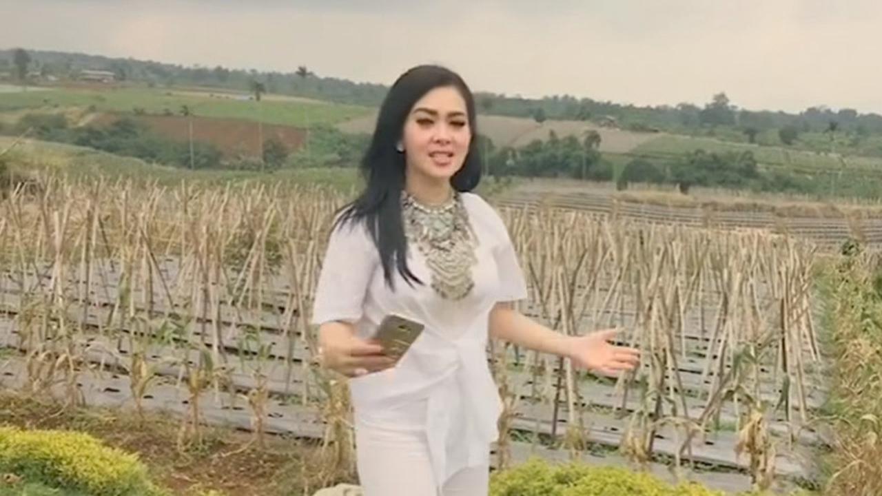Potret Vila Syahrini Seluas 30 Hektar di Sukabumi Tak Tersorot, Ada Perkebunan Luas yang Buat Bahagia saat Panen