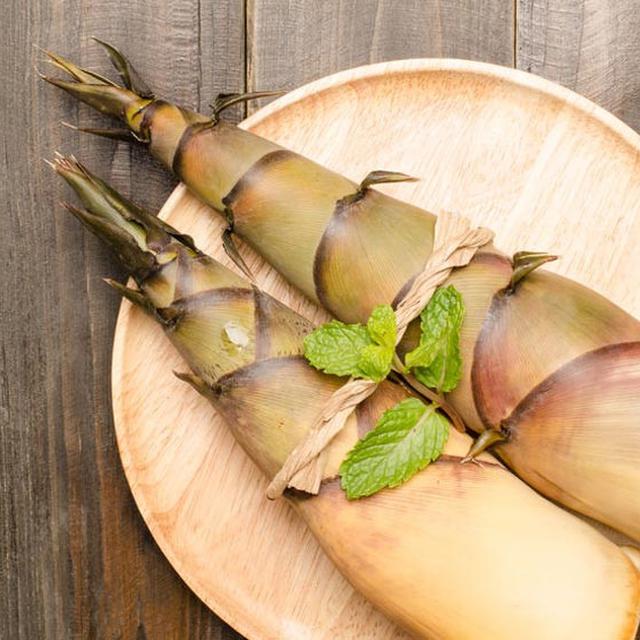 Cara Memasak Rebung Agar Tidak Pahit : Ternyata mudah, bukan, memasak