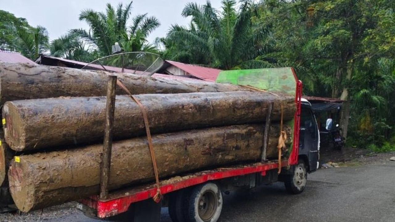 LSM GeRAK Desak Polisi Usut Dugaan Pengiriman Kayu Ilegal di Aceh Barat Pasca Banjir Bandang