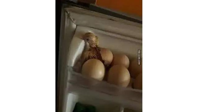 6 Momen Apes ketika Pecahkan Telur Ini Bikin Elus Dada, Jadi Malas Masak