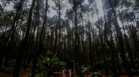 Mengawali Inspirasi Pagi Akhir Pekan di Pasir Langlang