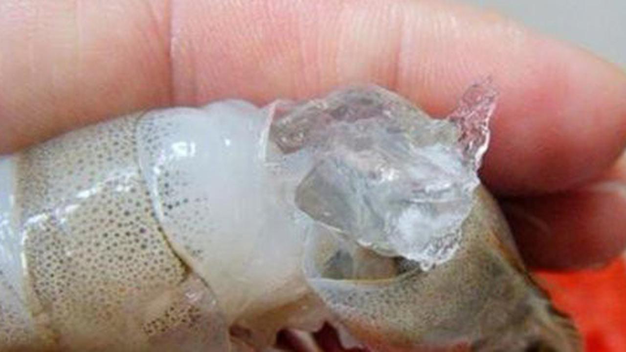Pedagang nakal China sungguh gila, giliran udang dipalsukan