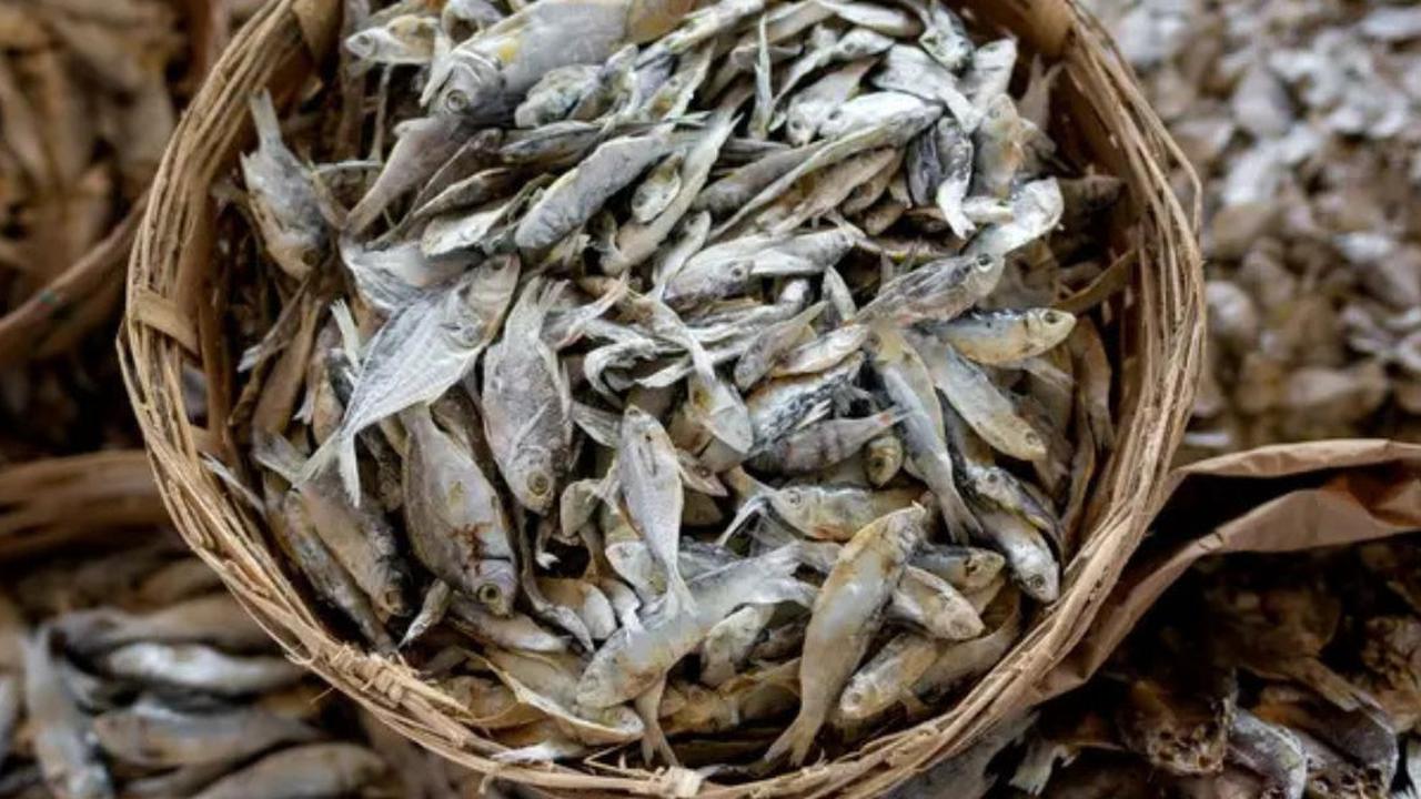 Hati-Hati! Konsumsi Ikan Asin dengan Nasi Panas Bisa Picu Kanker Nasofaring