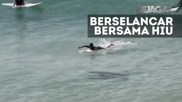 Seekor ikan hiu di pantai Australia tertangkap kamera berenang di antara para peselancar. Apa yang selanjutnya terjadi?