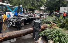 FOTO: Pohon Tumbang Timpa Mobil Mewah di Pondok Indah, Supir Tewas di Tempat
