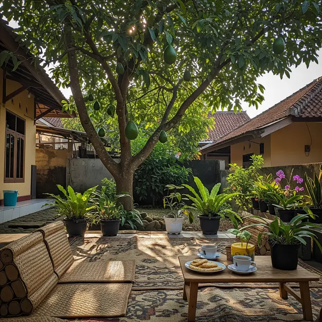 Pohon Alpukat di Halaman Rumah