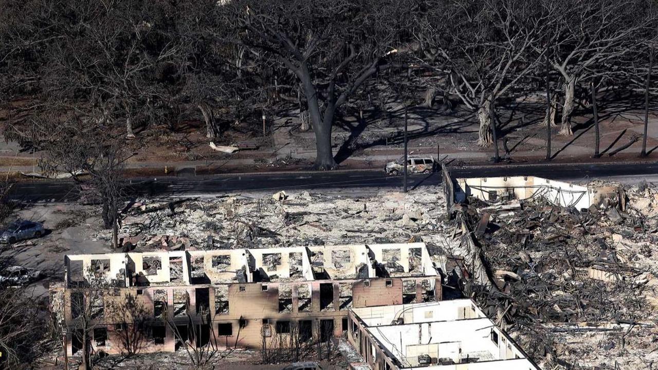 Kebakaran hutan mematikan telah meluluhlantakkan Kota Lahaina, Maui, Kepulauan Hawaii, Amerika Serikat. 

Namun, di antara reruntuhan itu terdapat landmark kota yang masih berdiri, yakni pohon beringin berusia 150 tahun.