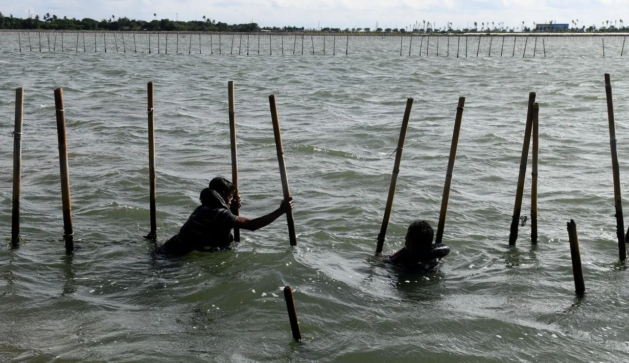 Proses pembongkaran membutuhkan waktu yang lama dikarenakan pagar laut dengan membentang di 16 kecamatan di Kabupaten Tangerang. (merdeka.com/Arie Basuki)