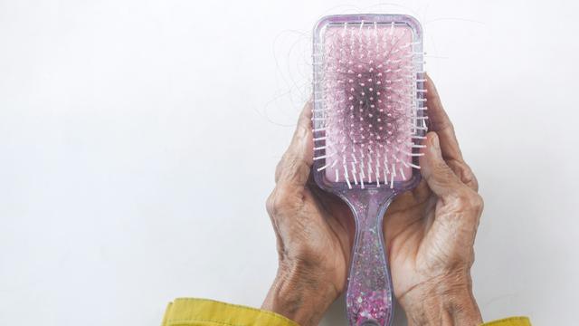 Hair Brush