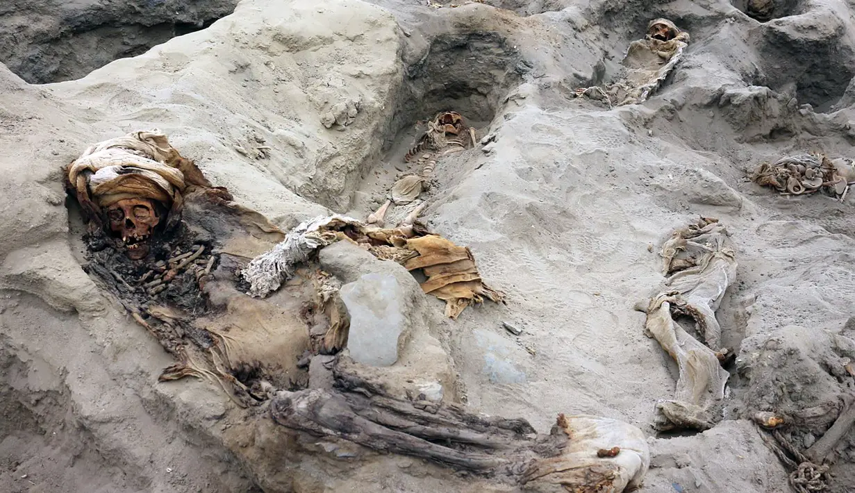 Gambar tak bertanggal memperlihatkan tulang belulang anak-anak yang ditemukan para arkeolog di Pampa La Cruz, sebuah kota pesisir Trujillo, Peru. Ditemukan sekitar 227 kerangka anak yang diduga menjadi korban ritual peradaban masa lampau tepatnya pada masa peradaban Chimu. (LUIS PUELL/ANDINA/AFP)