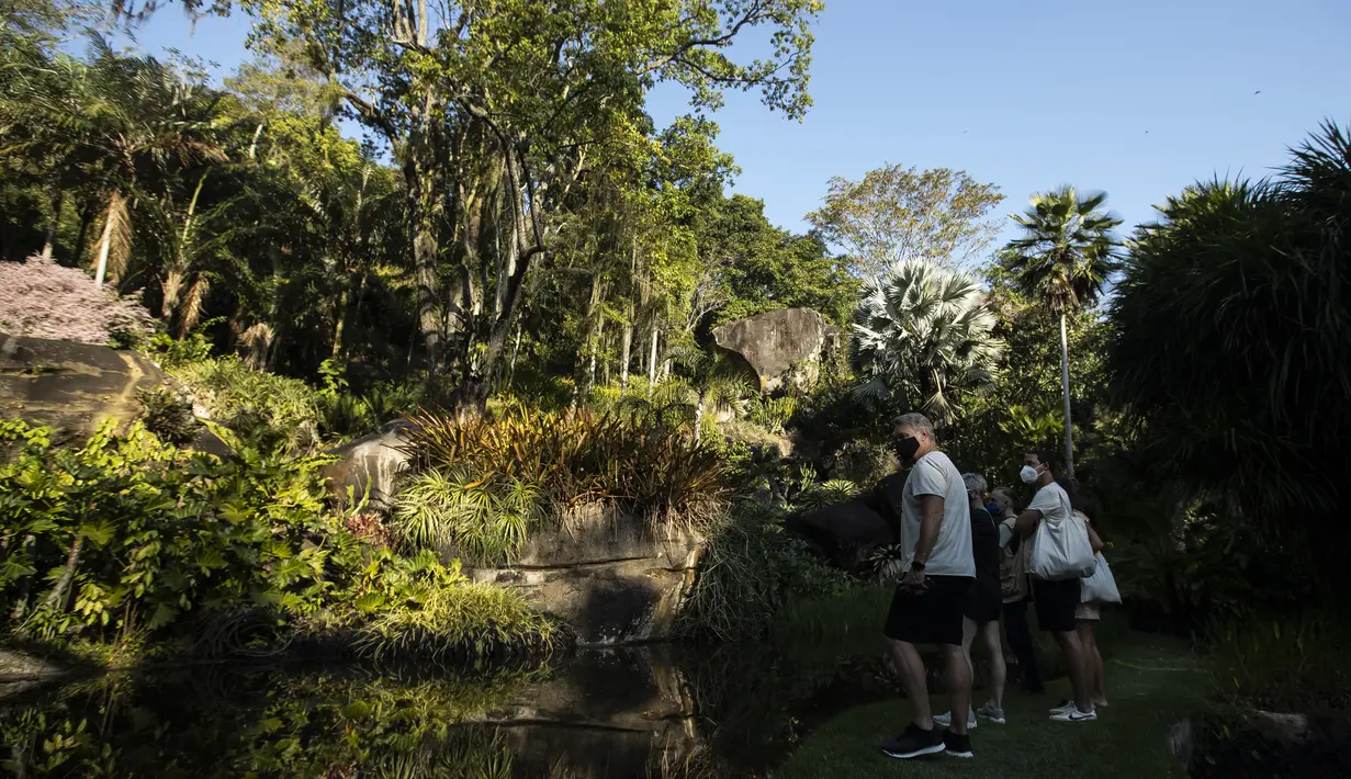 Pengunjung berjalan di taman selama tur ke situs Roberto Burle Marx, yang masuk kedalam daftar situs warisan dunia UNESCO, di Rio de Janeiro, Brasil, pada 27 Juli 2021. Lokasi ini dianggap sebagai laboratorium untuk eksperimen botani dan lanskap. (AP Photo/Mario Lobao)