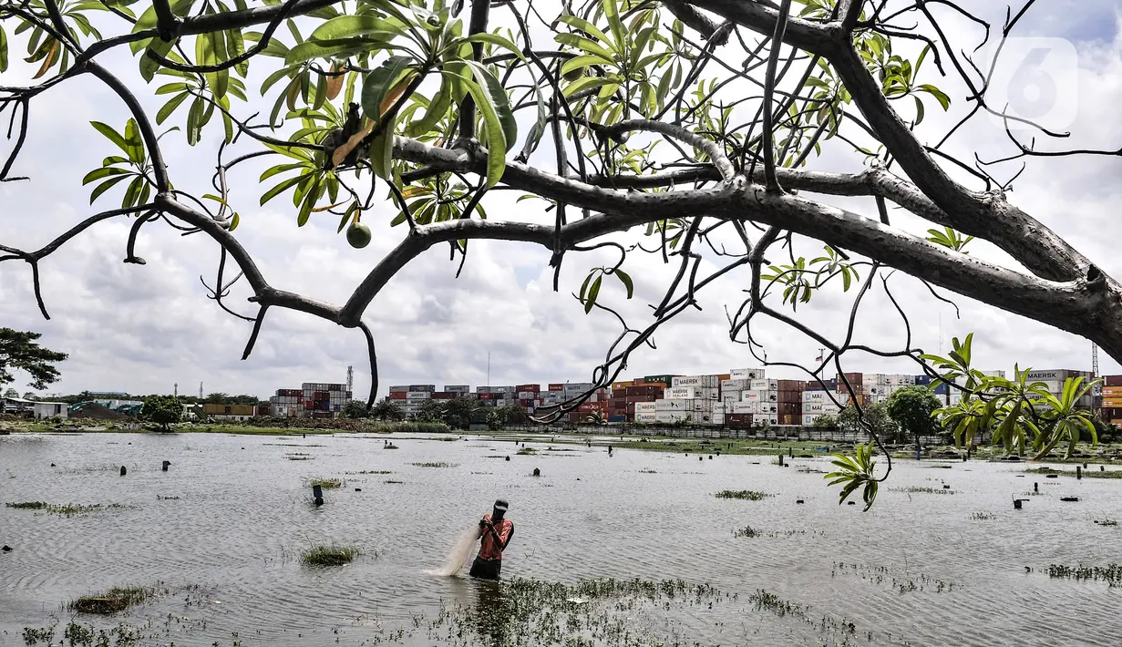 Amir (38) saat menjala ikan di genangan air yang merendam kompleks pemakaman TPU Semper, Jakarta, Selasa (2/2/2021). Banjir yang semakin tinggi merendam TPU Semper hingga mencapai sepinggang orang dewasa. (merdeka.com/Iqbal S. Nugroho)