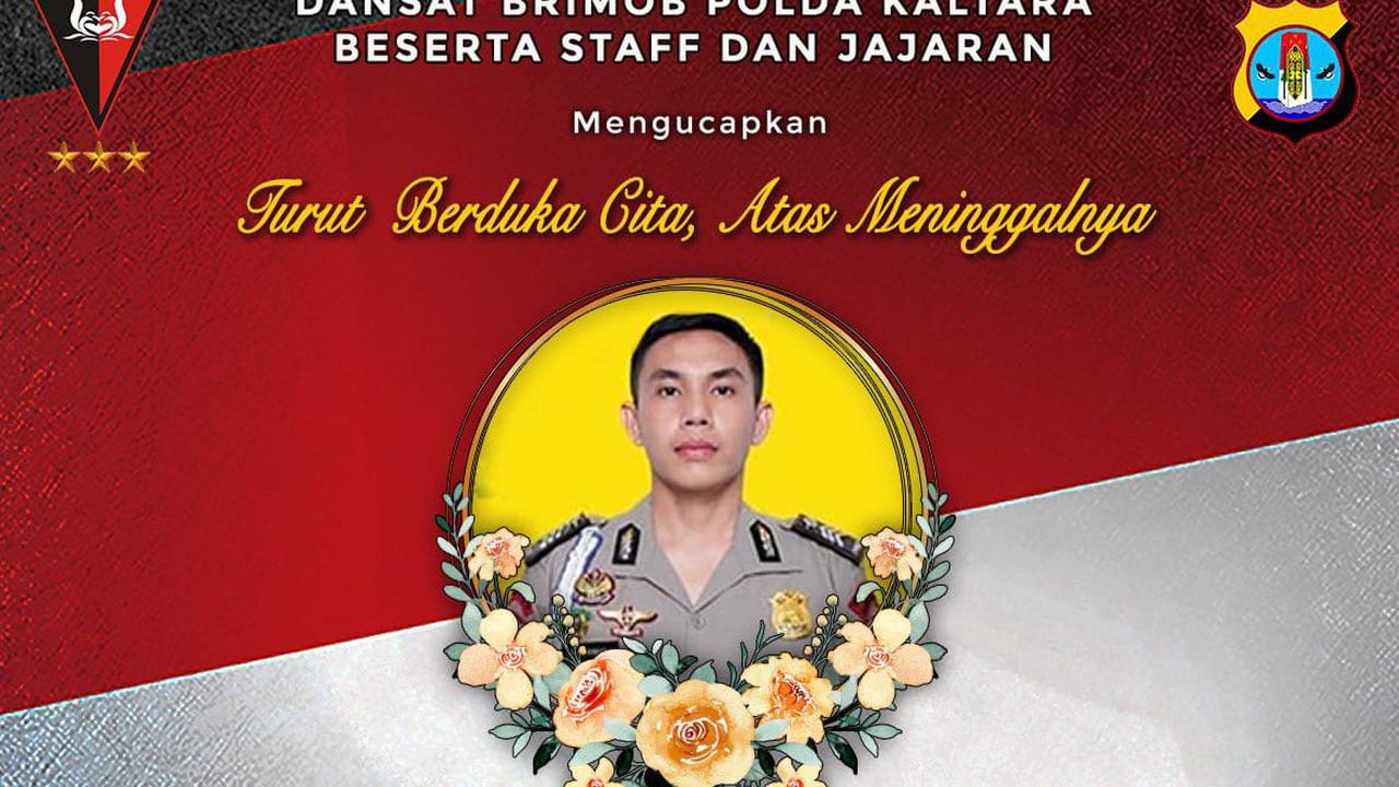 Briptu Iqbal Anwar, Anggota Satgas Damai Cartenz yang Ditembak KKB
