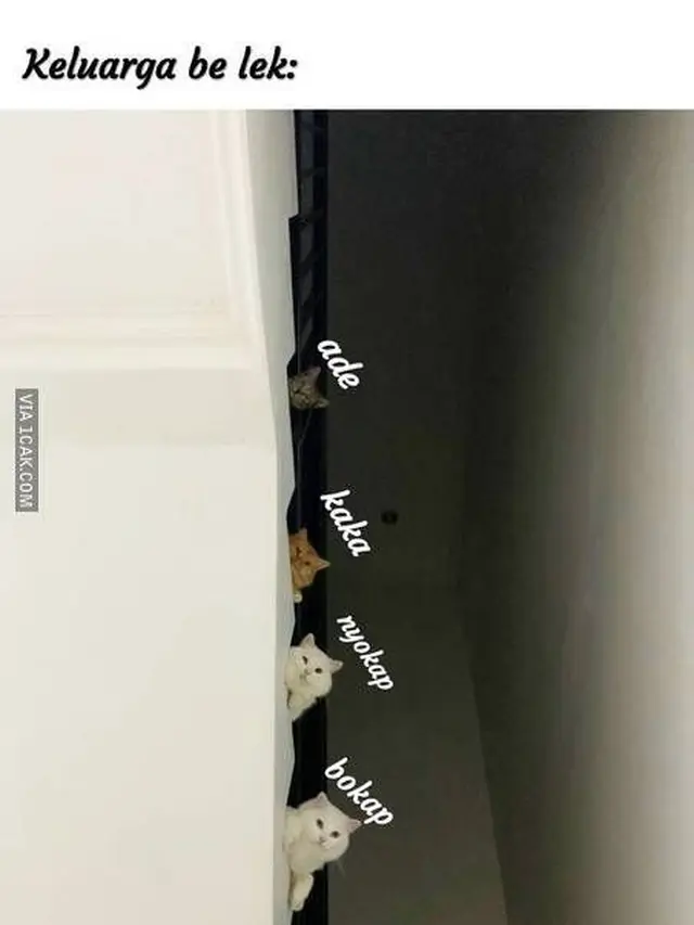 7 Meme Momen Bawa Pacar ke Rumah Ini Malah Bikin Tepuk Jidat