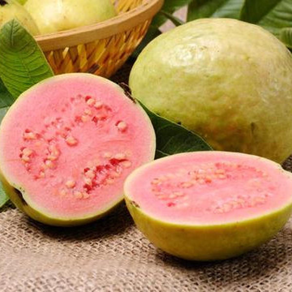 50 Teka-teki Buah-buahan Lawak Terbaru, Menghibur dan Kocak