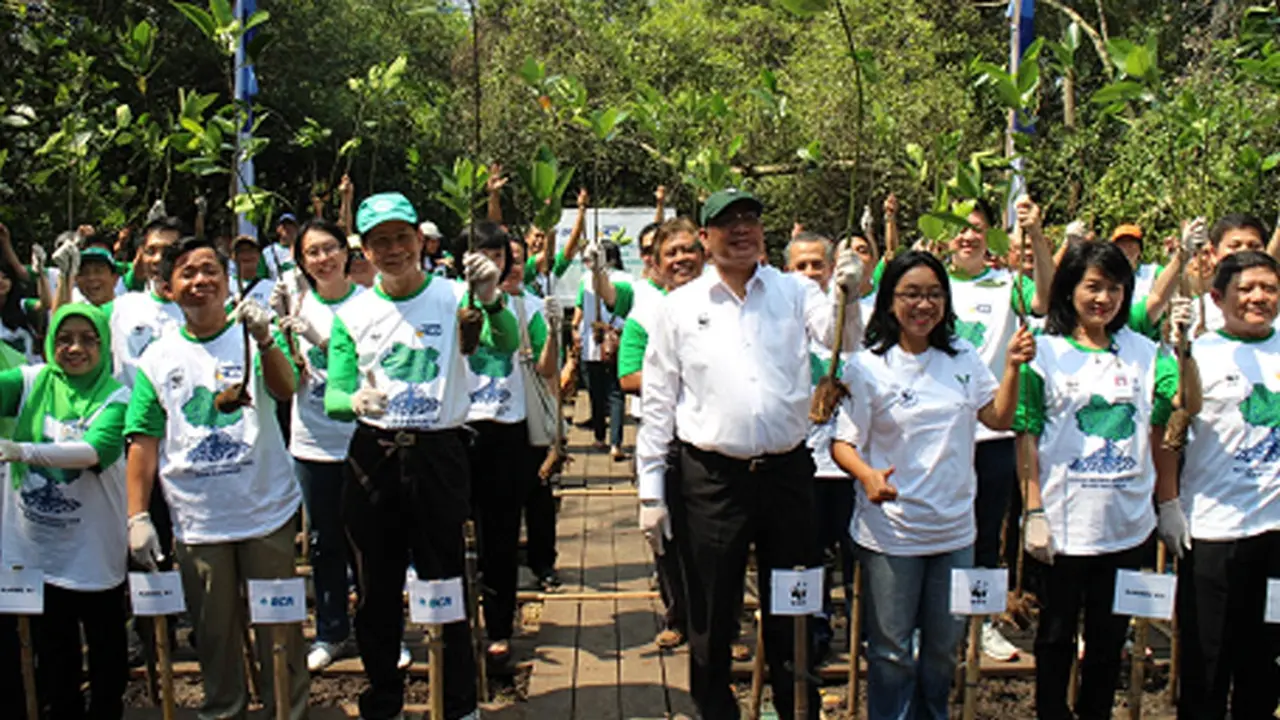 Selamatkan Bumi, BCA dan WWF Indonesia Tanam 18.000 Pohon Bakau