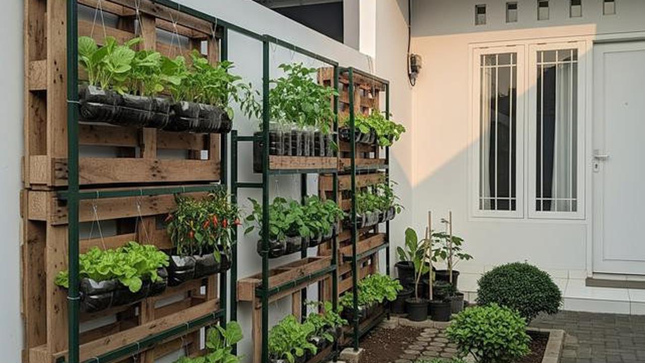 9 Ide Kebun Sayur Hemat Biaya di Kontrakan Sepetak, Panen Segar Lahan Terbatas