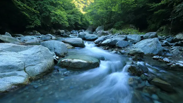 Water