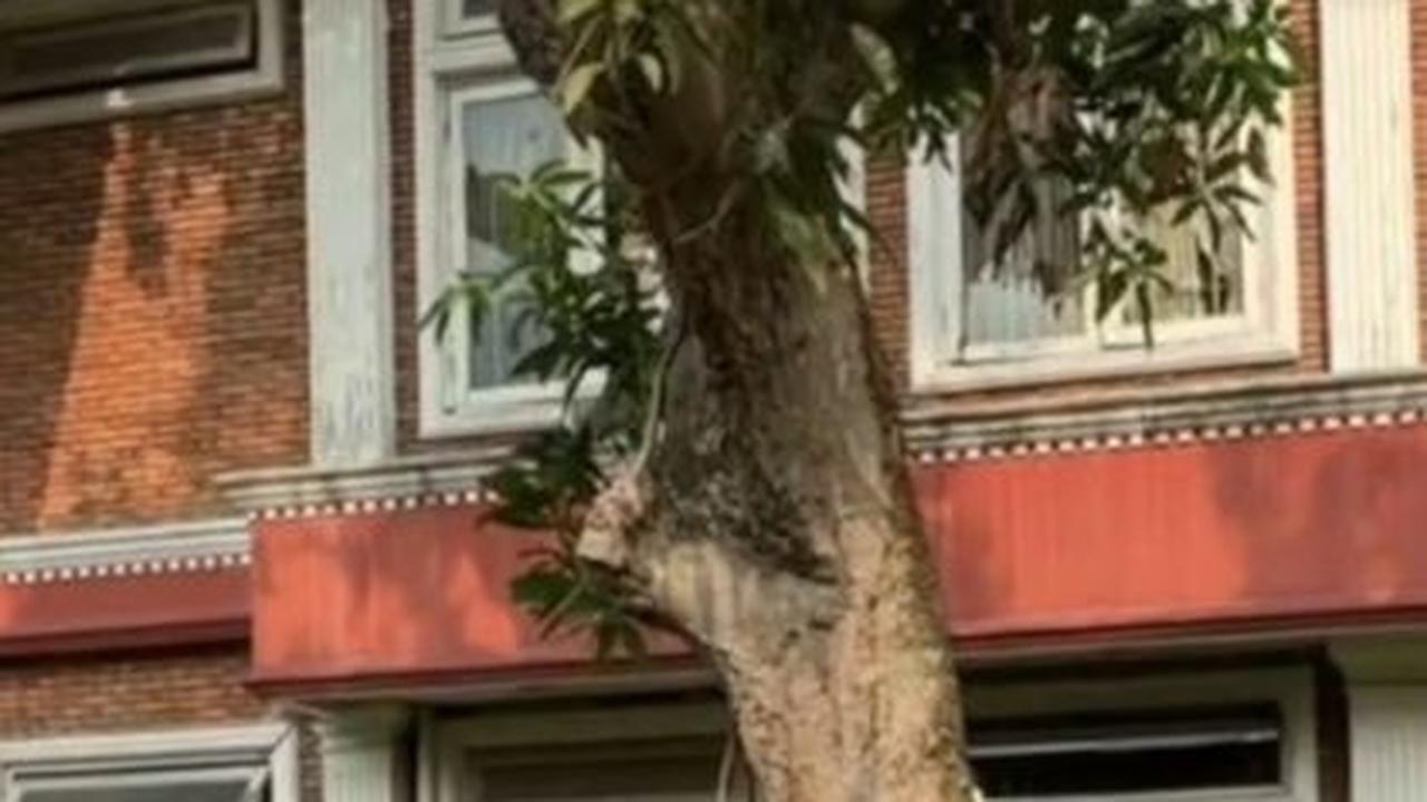 Rumah Syuting Genta Buana yang Terbengkalai Selama 20 Tahun