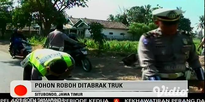 VIDEO: Minibus Hancur Tertimpa Batang Pohon di Situbondo