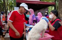 Anjing dan Kucing Rentan? BB Veteriner Maros Gelar Vaksinasi Rabies Gratis di Maros, Tekan Penularan Zoonosis!