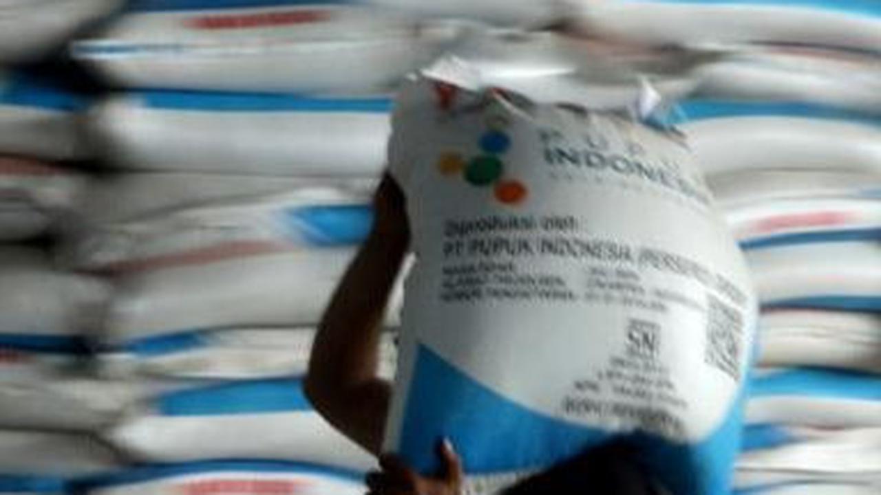 Sambut Musim Tanam 2024, Pupuk Indonesia Siapkan Stok 1,2 Juta Ton Pupuk untuk Petani