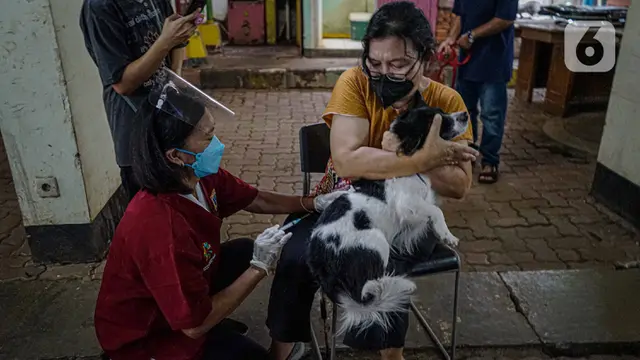 Vaksinasi Rabies untuk Hewan Peliharaan