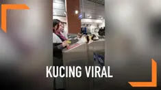 Seekor kucing bernama Mitsy viral karena tingkahnya yang tak biasa. Ia duduk di pintu masuk stasiun kereta seperti petugas.