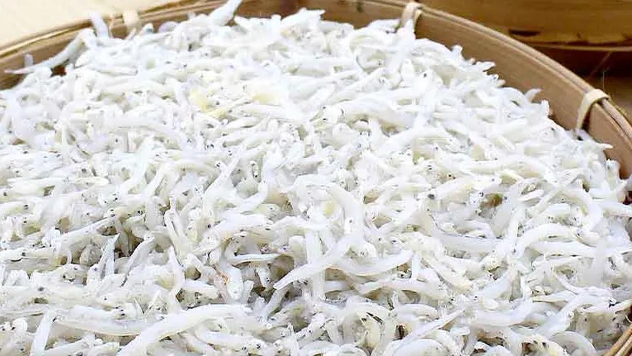 1. Ikan Teri