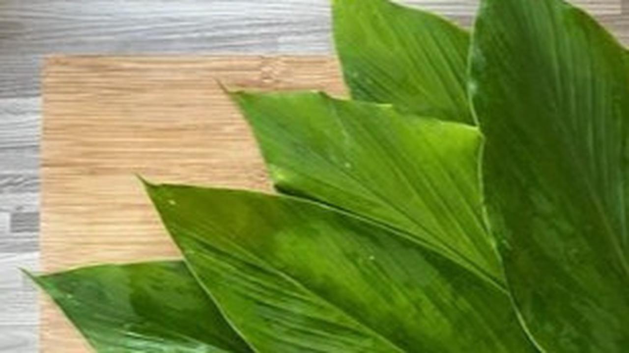 Daun Kunyit, Si Antioksidan Ampuh Resep dan Khasiat untuk Kesehatan