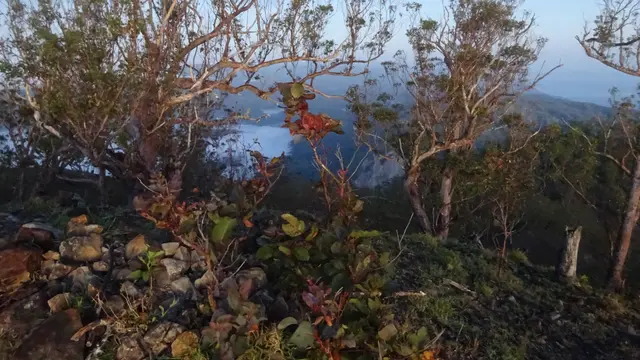 Gunung Dola Koyakoya di Nusa Tenggara Timur. (Dok: Gunung Bagging <a href="https://www.gunungbagging.com/dola-koyakoya