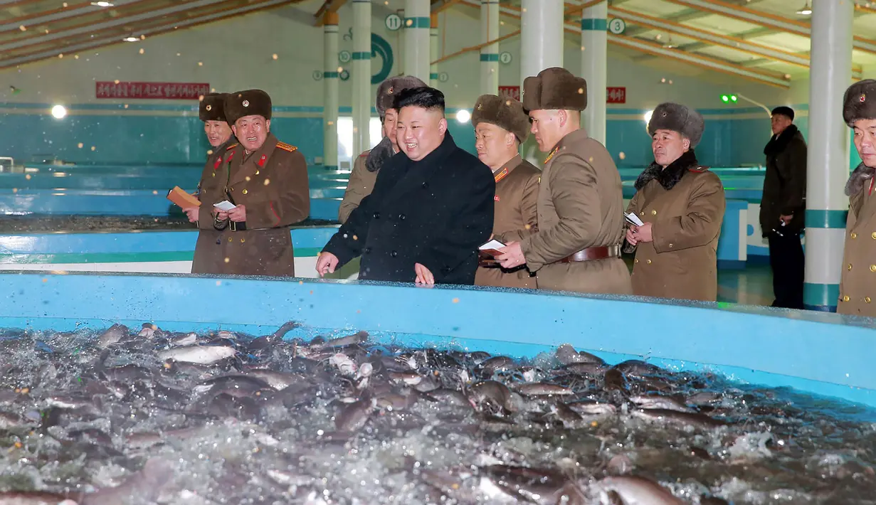 Pemimpin Korea Utara, Kim Jong Un mengunjungi Samchon Catfish Farm di Korea Utara, Selasa (21/2). Wajah Kim Jong Un terlihat bahagia saat melihat kolam yang penuh ikan lele. (AFP Photo/KCNA)