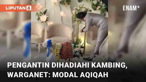 VIDEO: Pengantin Dihadiahi Anak Kambing, Warganet: Buat Modal Aqiqah