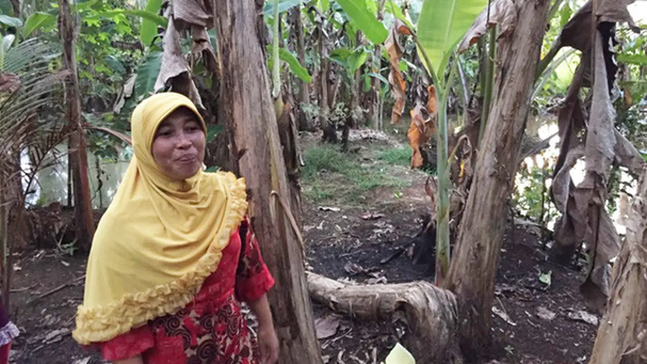 Ibu Nunung sedang menjaga ternak itiknya