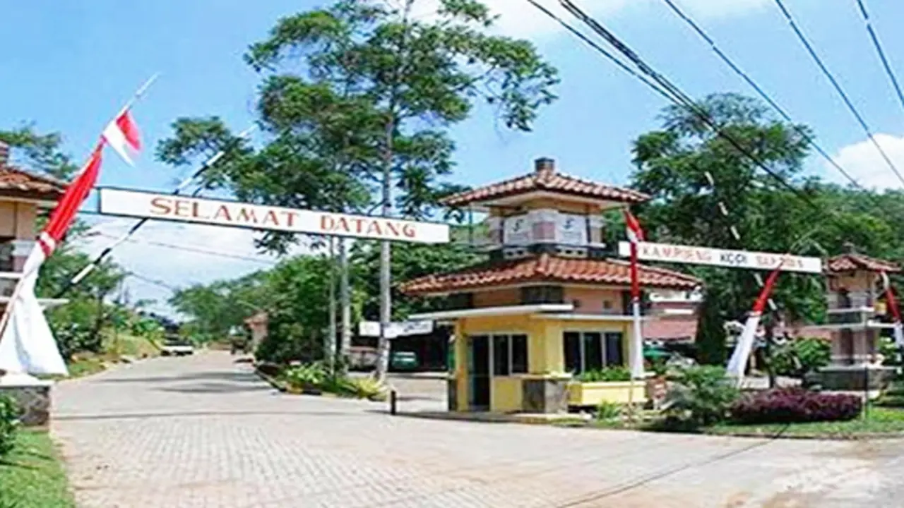 131130ckopi.jpg