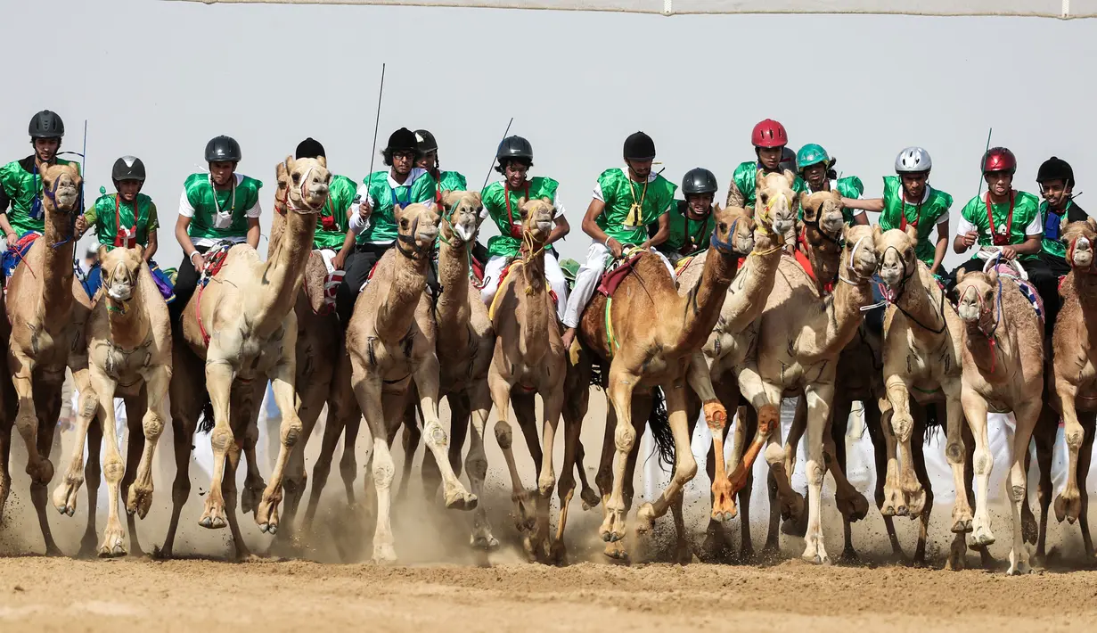 Para joki memacu untanya dalam balap unta selama festival warisan Sheikh Sultan Bin Zayed al-Nahyan di Abu Dhabi, Uni Emirat Arab (10/2). (AFP/Karim Sahib)
