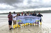 PT Timah Tanam Ratusan Mangrove di Pantai Dudat Belitung, Perkuat Ekosistem Pesisir